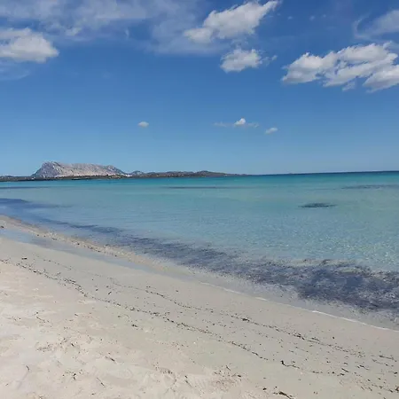 Carla'shouse Lägenhet