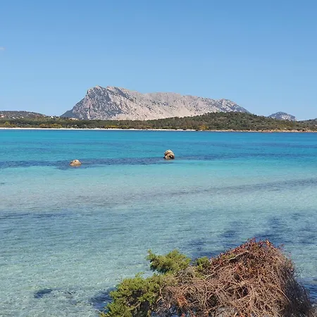 Carla'shouse Lägenhet *