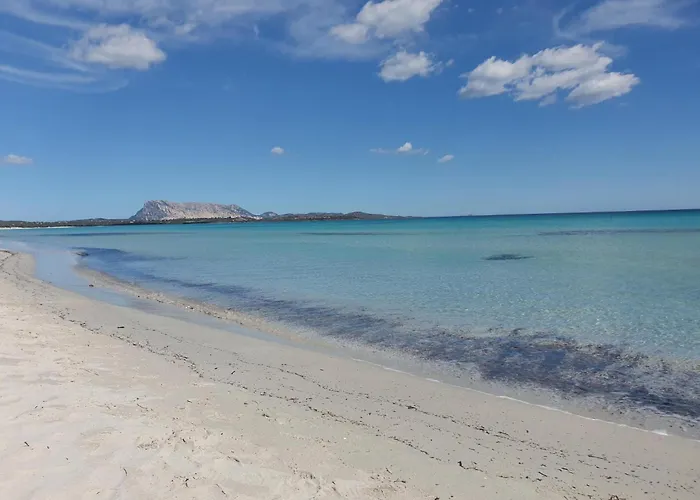 Carla'shouse Apartment