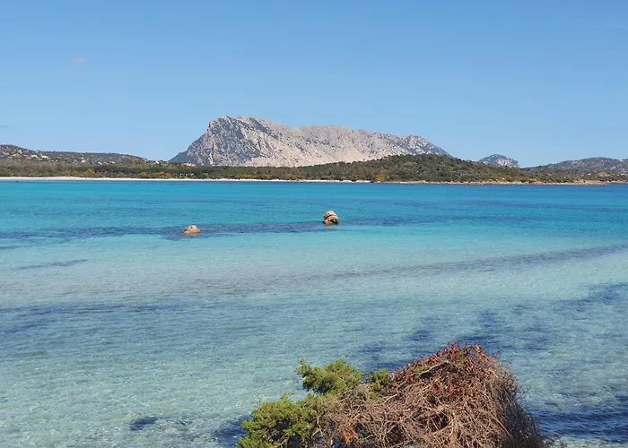 Carla'shouse Apartment *